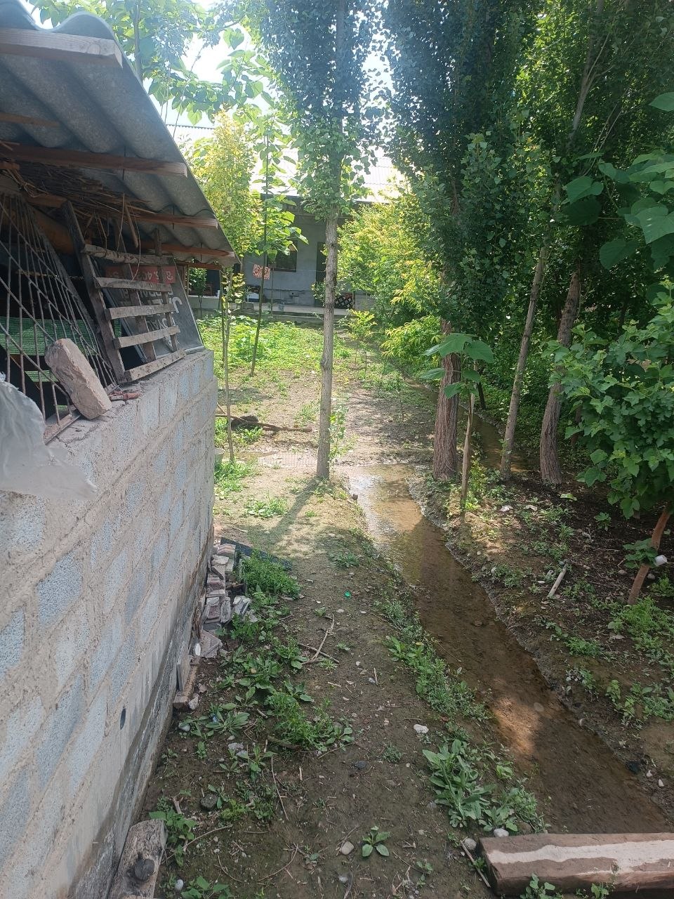 http://api3.fergana.uz/files/150100/formalRelations/file-2127681354369340.jpg