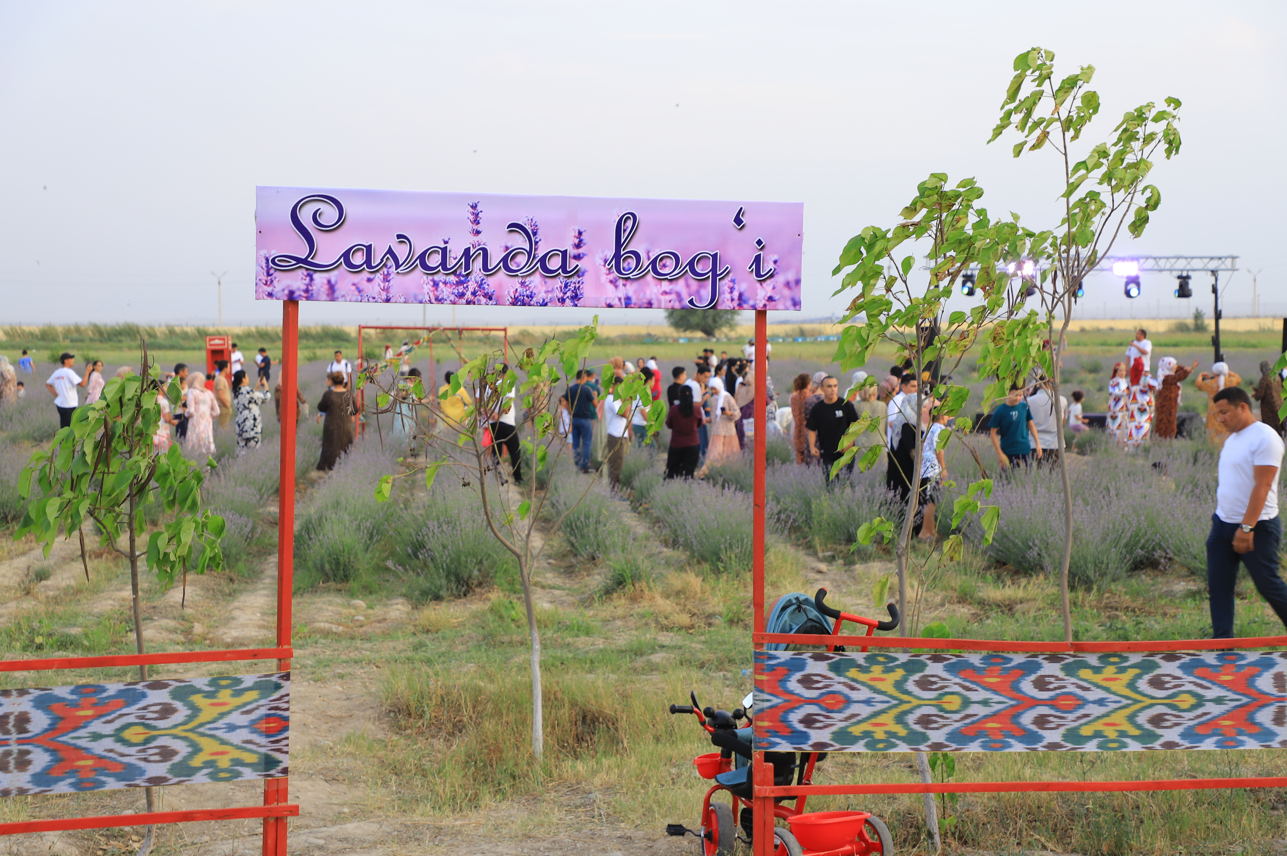 http://api3.fergana.uz/files/150100/news/file-2090948053299715.jpg