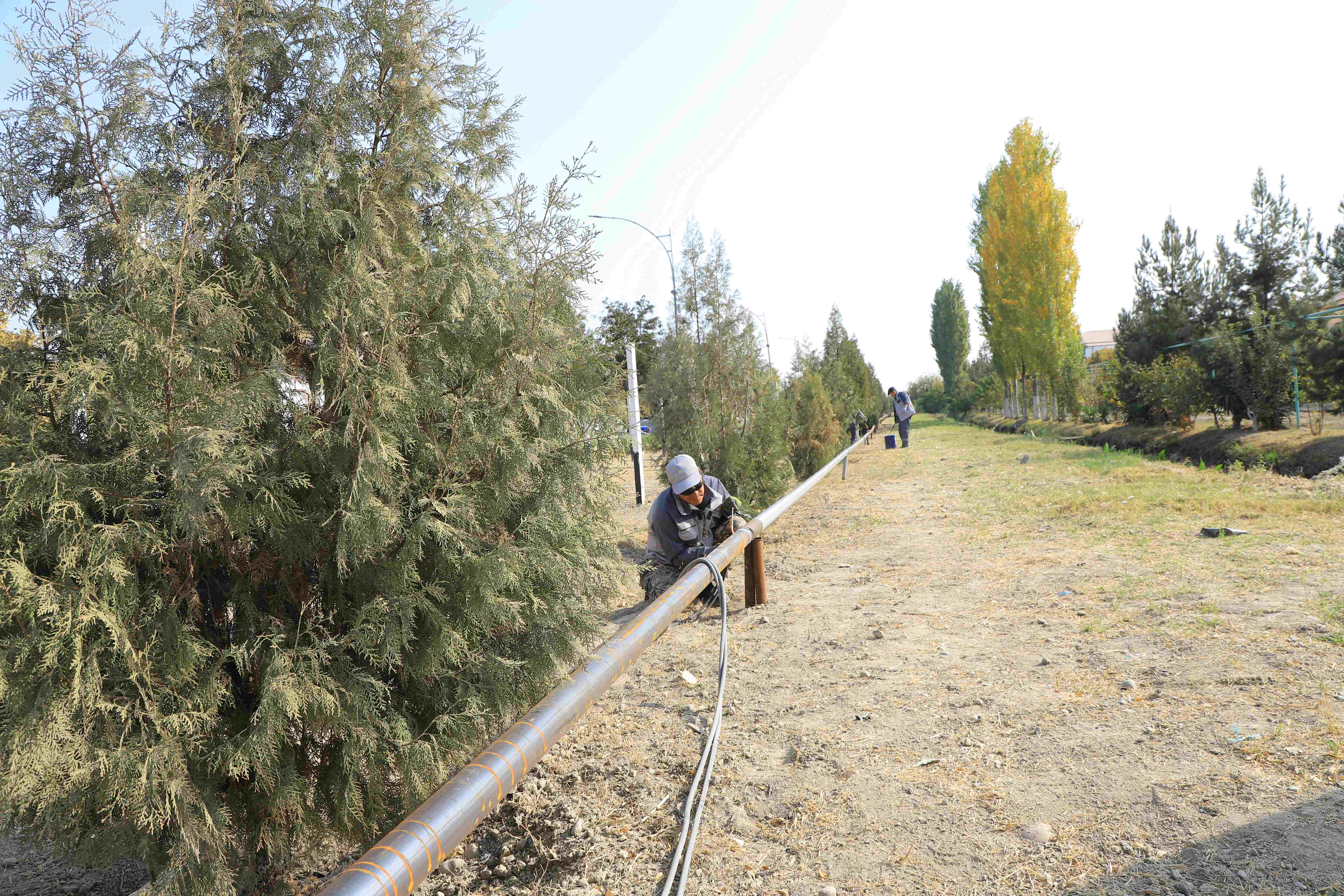 http://api3.fergana.uz/files/150100/news/file-2104376084134680.jpg