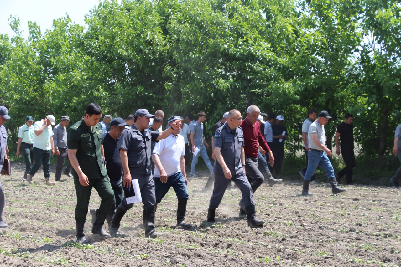 http://api3.fergana.uz/files/150200/news/file-2086460421887385.jpg