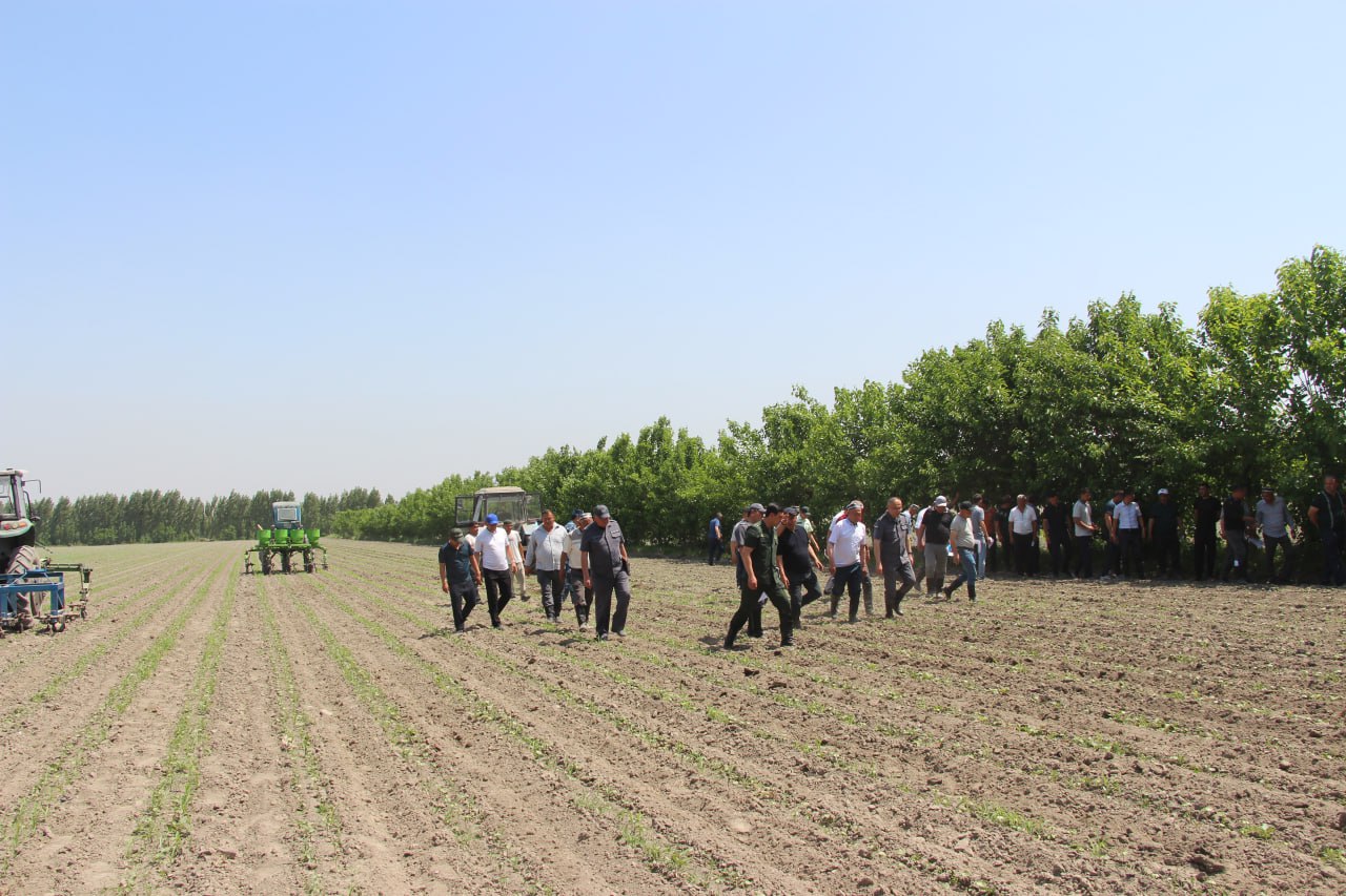 http://api3.fergana.uz/files/150200/news/file-2086460421892165.jpg
