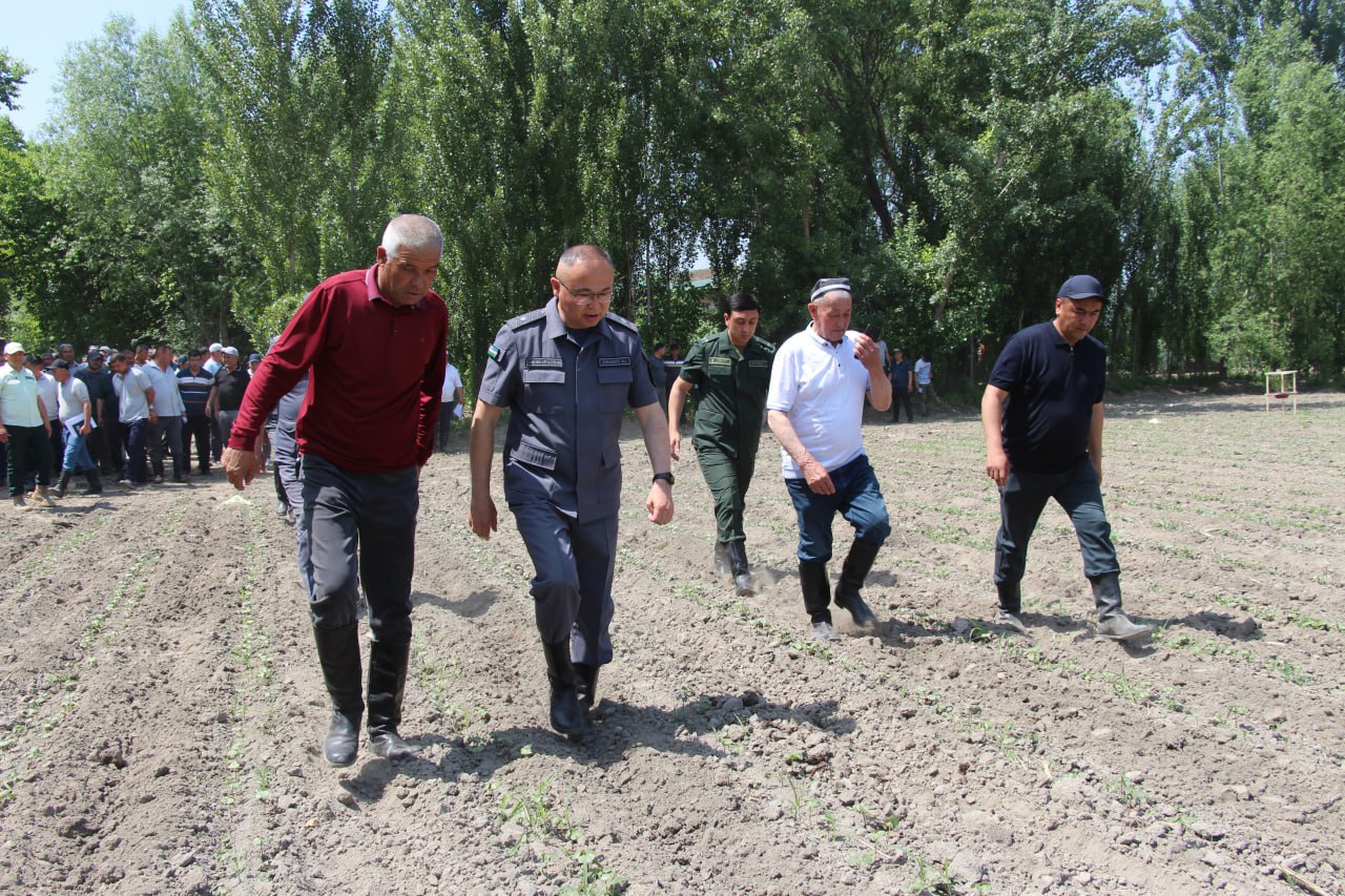 http://api3.fergana.uz/files/150200/news/file-2086460421893360.jpg