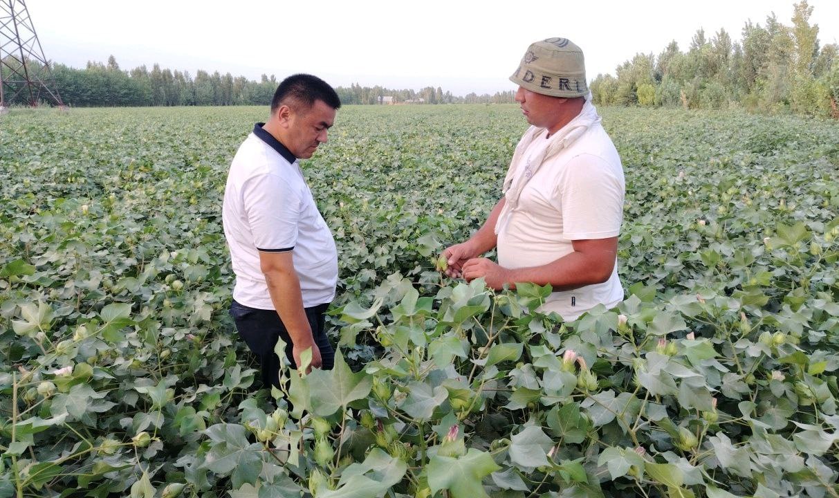 http://api3.fergana.uz/files/150200/news/file-2095991988032290.jpg