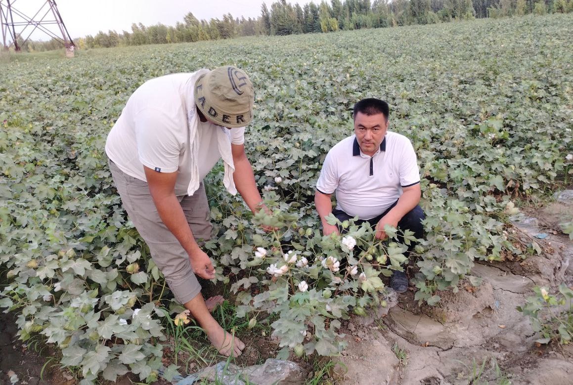 http://api3.fergana.uz/files/150200/news/file-2095991988033485.jpg