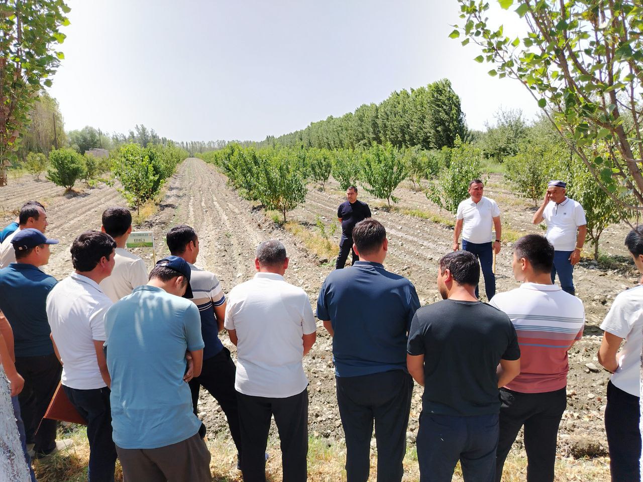 http://api3.fergana.uz/files/150200/news/file-2098570264675110.jpg