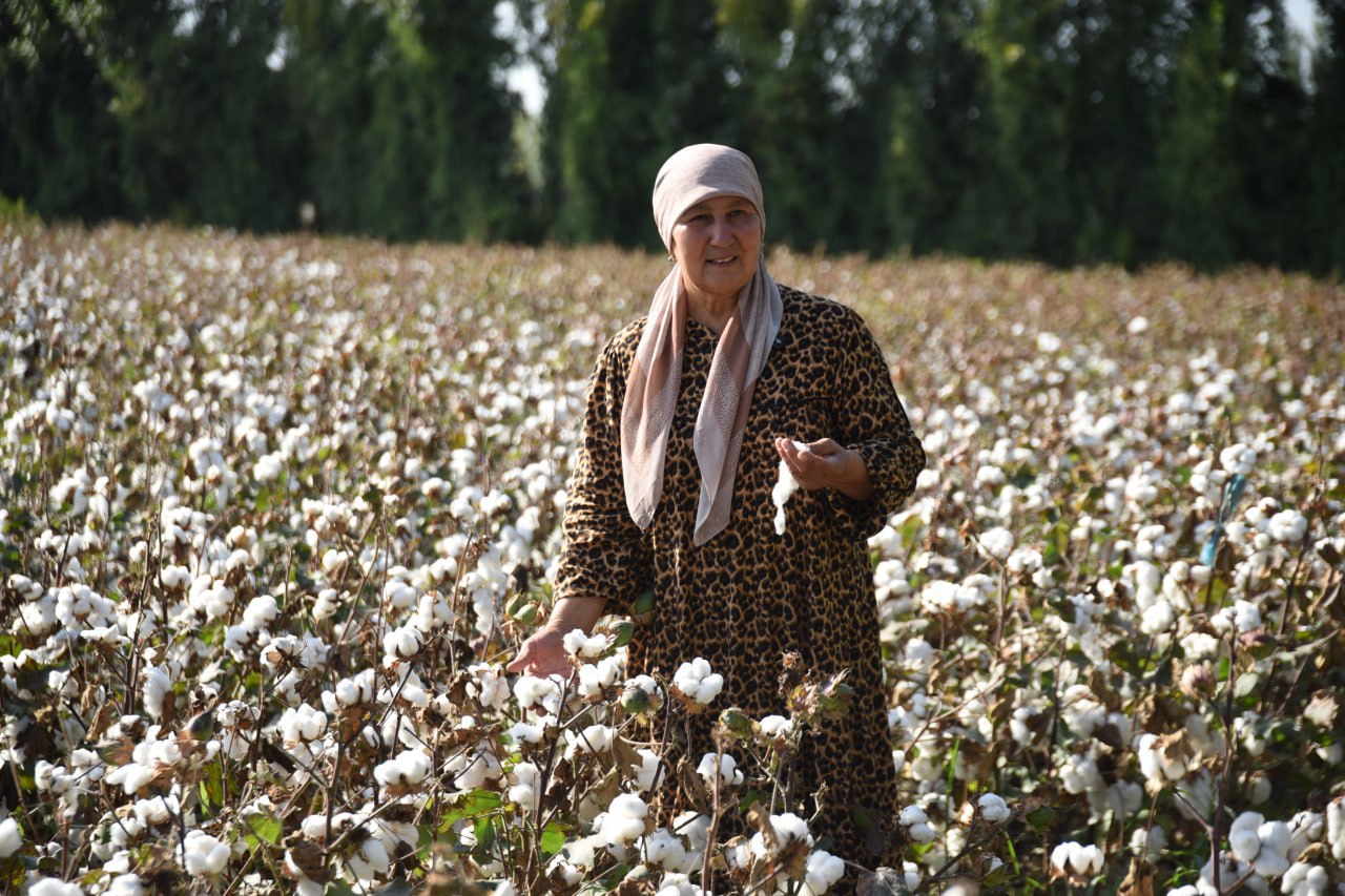 http://api3.fergana.uz/files/150200/news/file-2099588941955475.jpg