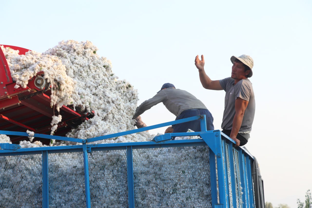 http://api3.fergana.uz/files/150200/news/file-2102156215249810.jpg