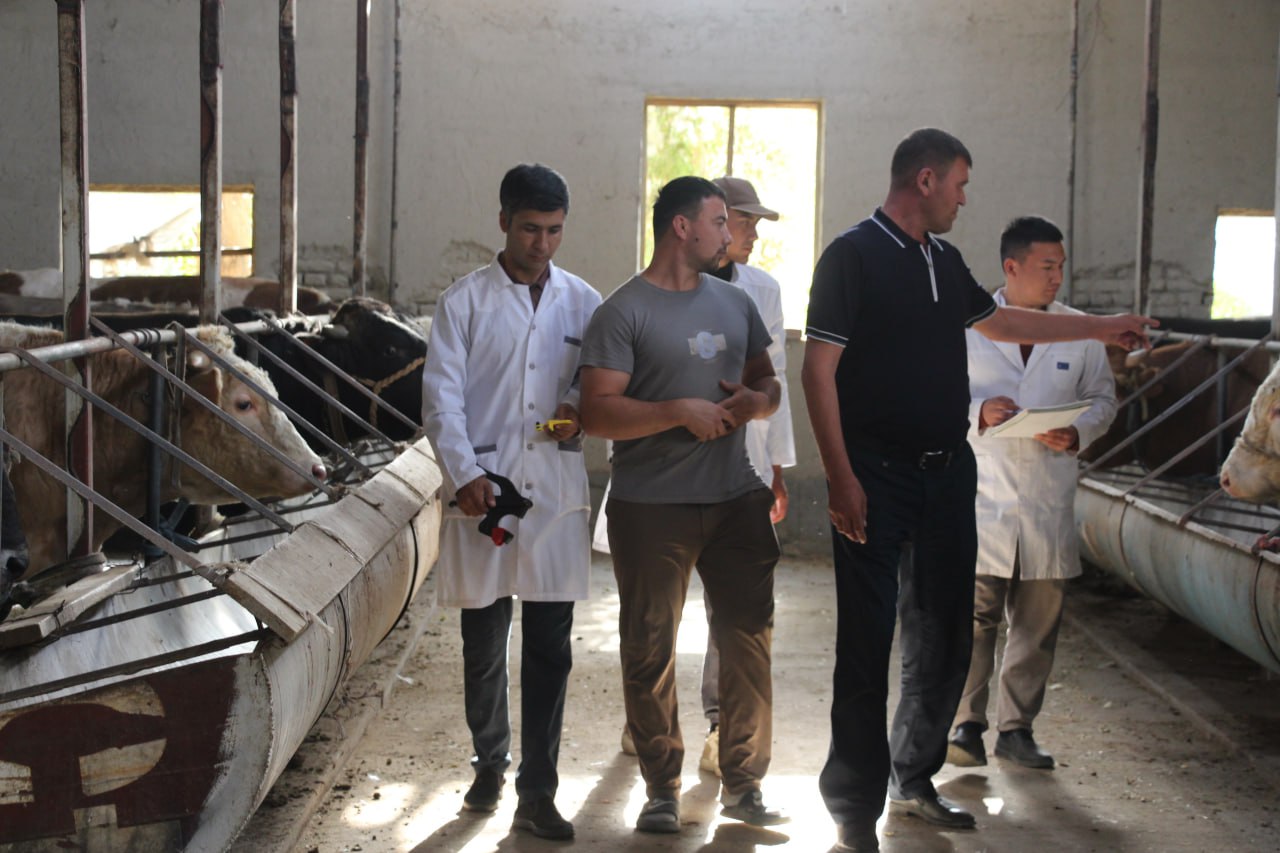 http://api3.fergana.uz/files/150200/news/file-2104355837494655.jpg