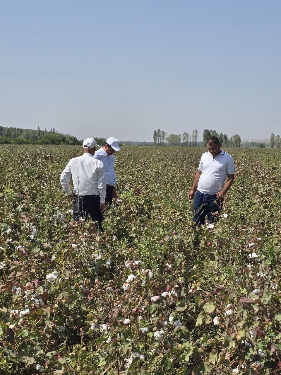 http://api3.fergana.uz/files/150400/news/file-2100817667044715.jpg