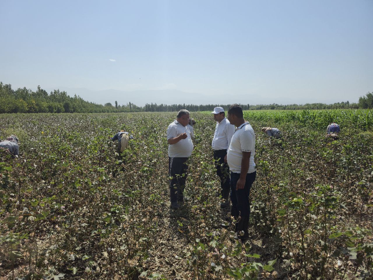 http://api3.fergana.uz/files/150400/news/file-2100817667047105.jpg