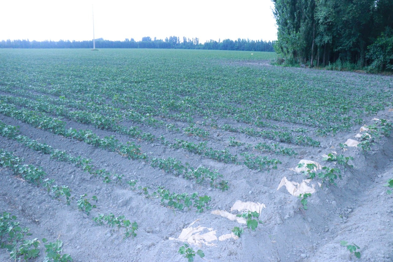 http://api3.fergana.uz/files/150500/news/file-2089675314170040.jpg