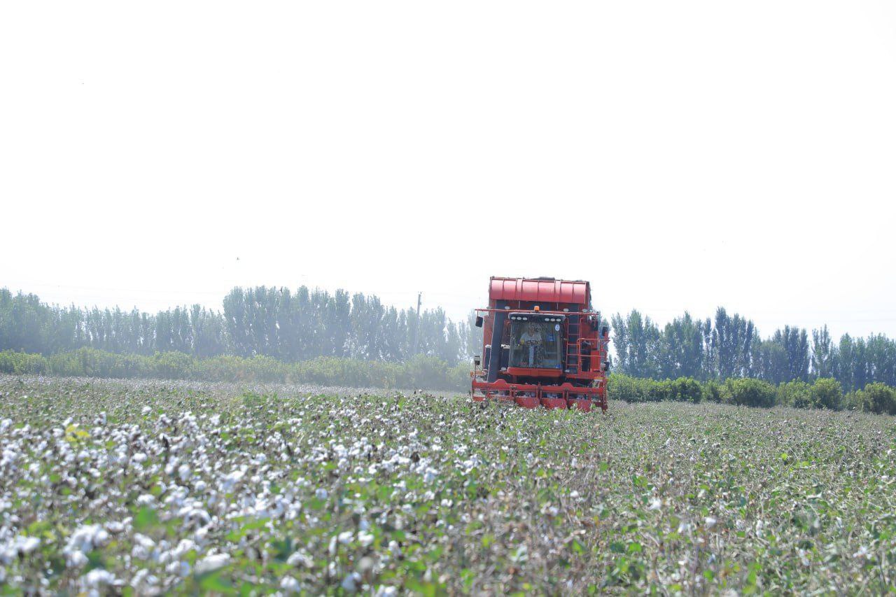 http://api3.fergana.uz/files/150600/news/file-2100111359055070.jpg
