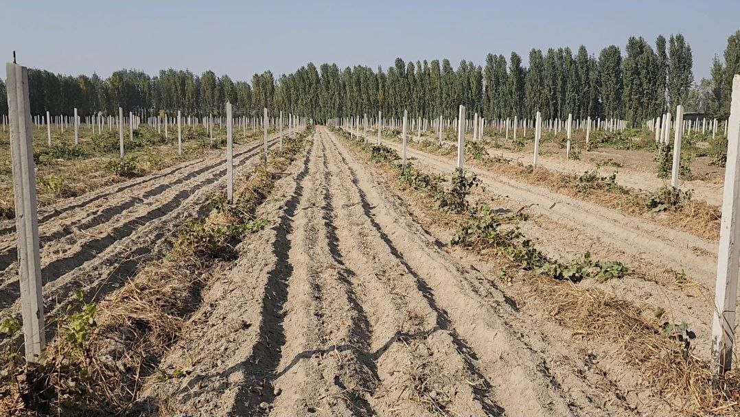 http://api3.fergana.uz/files/150600/news/file-2103900855692205.jpg