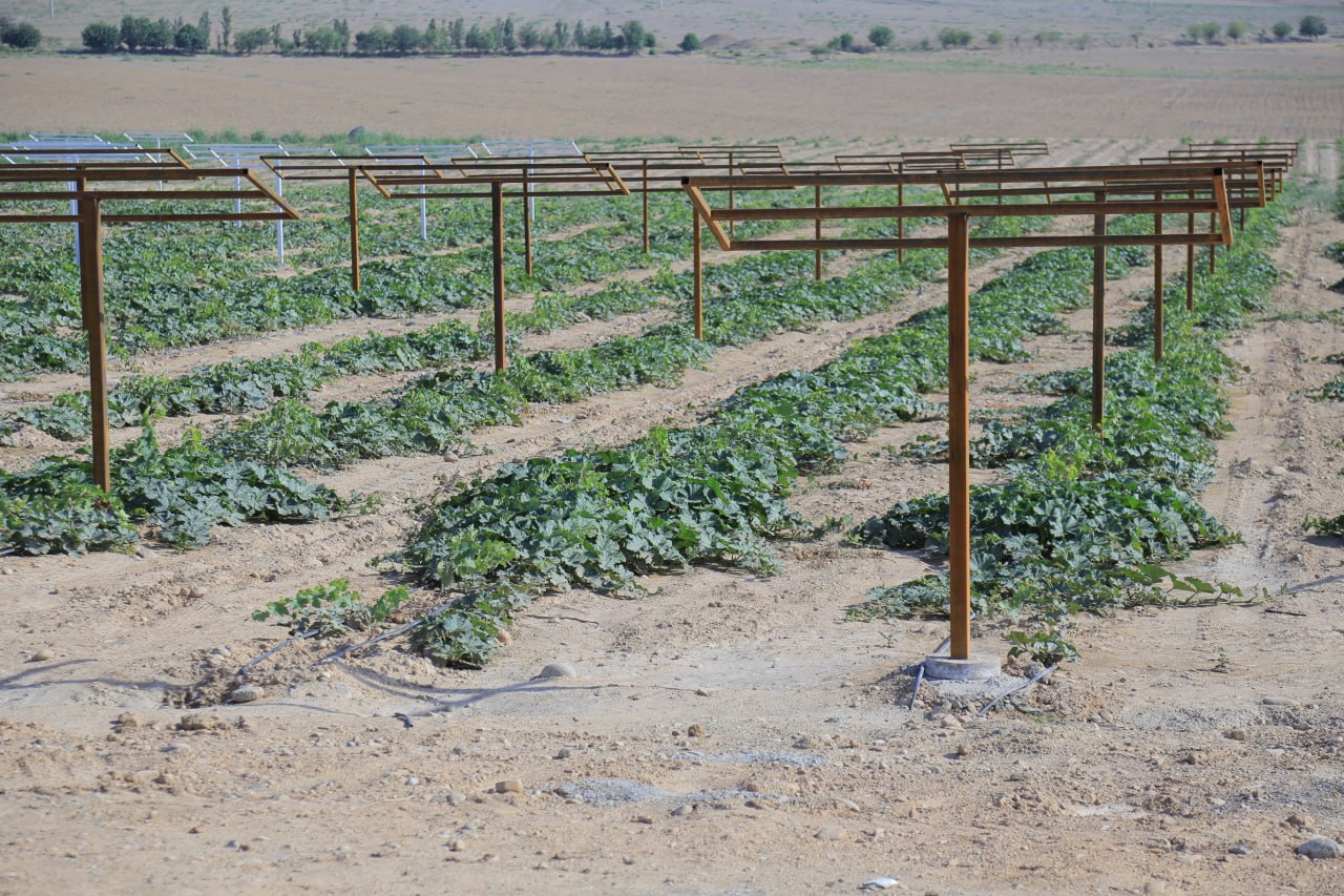 http://api3.fergana.uz/files/150800/news/file-2094130997778390.jpg