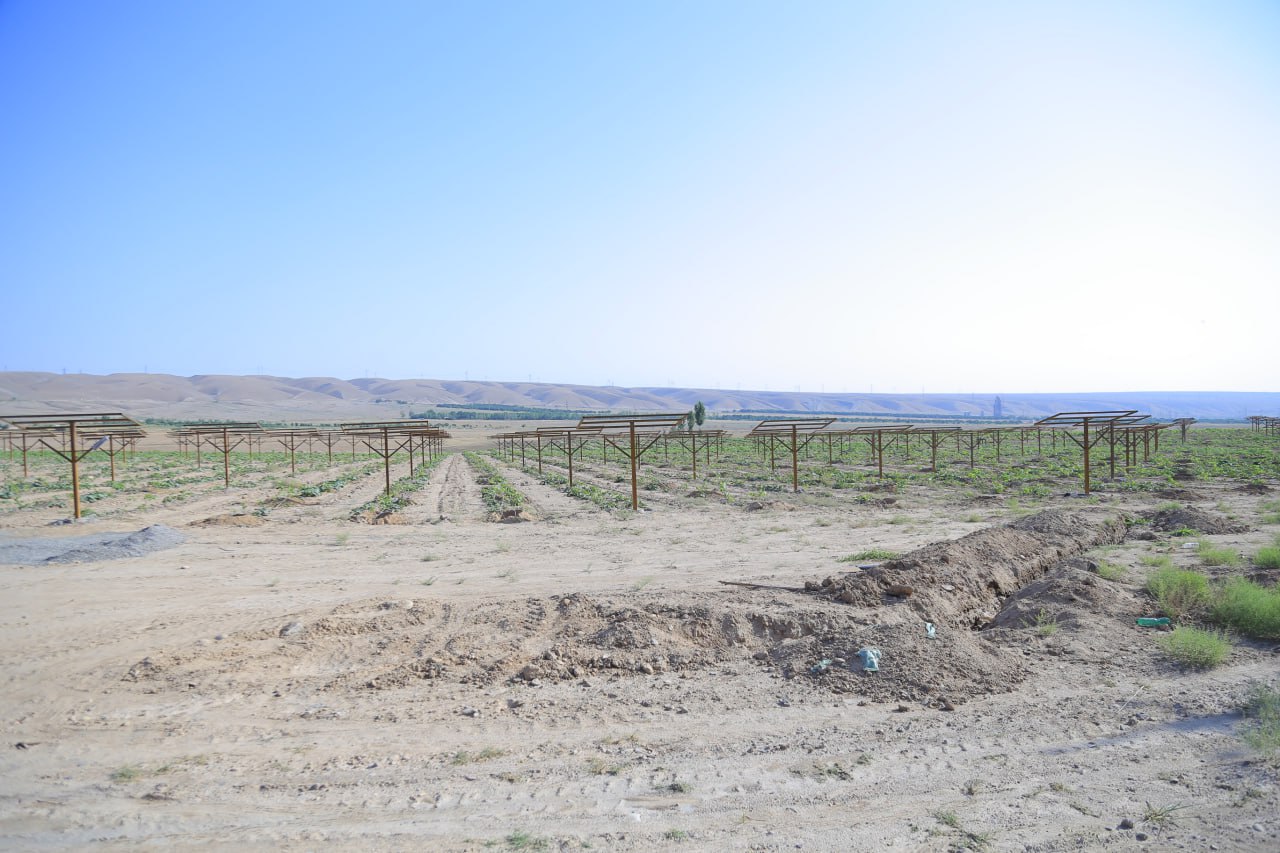http://api3.fergana.uz/files/150800/news/file-2094130997786755.jpg