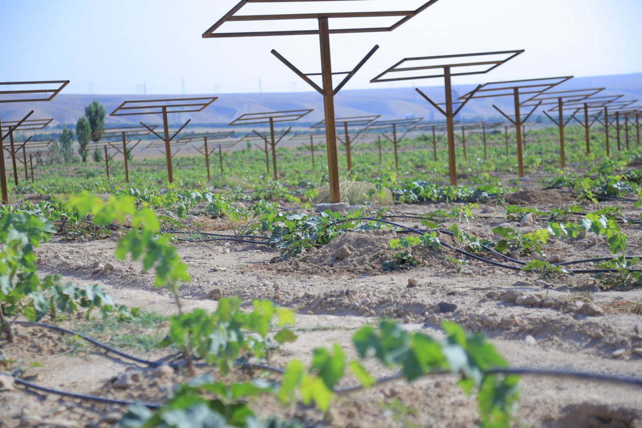 http://api3.fergana.uz/files/150800/news/file-2094130997796315.jpg