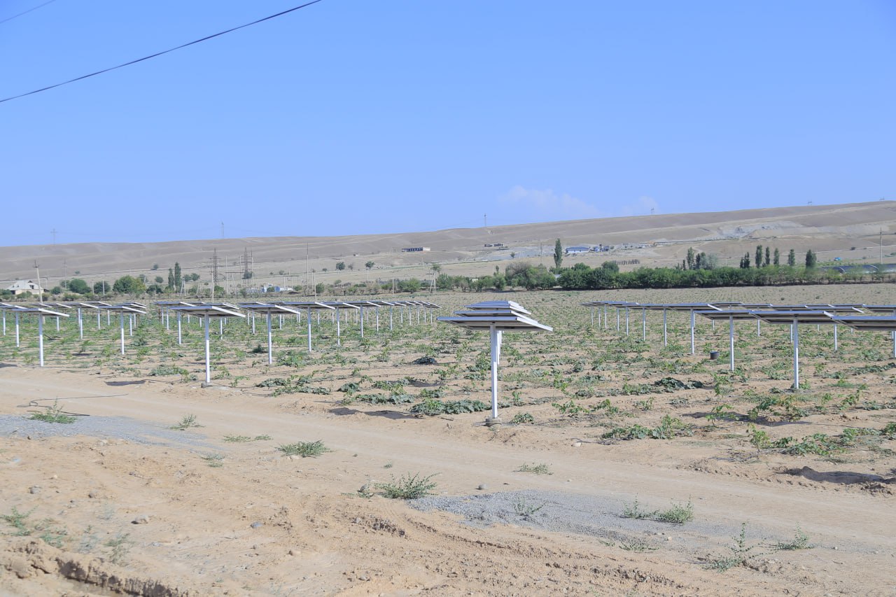 http://api3.fergana.uz/files/150800/news/file-2094130997804680.jpg