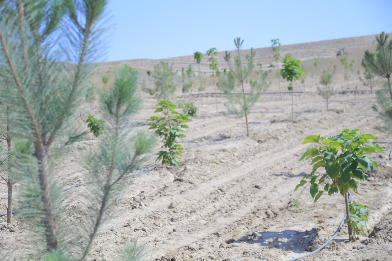 http://api3.fergana.uz/files/150800/news/file-2094408292327750.jpg
