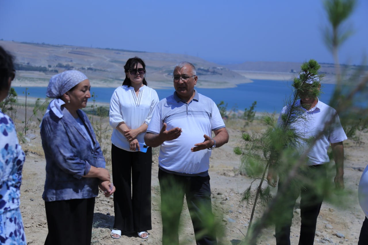 http://api3.fergana.uz/files/150800/news/file-2094736111413775.jpg