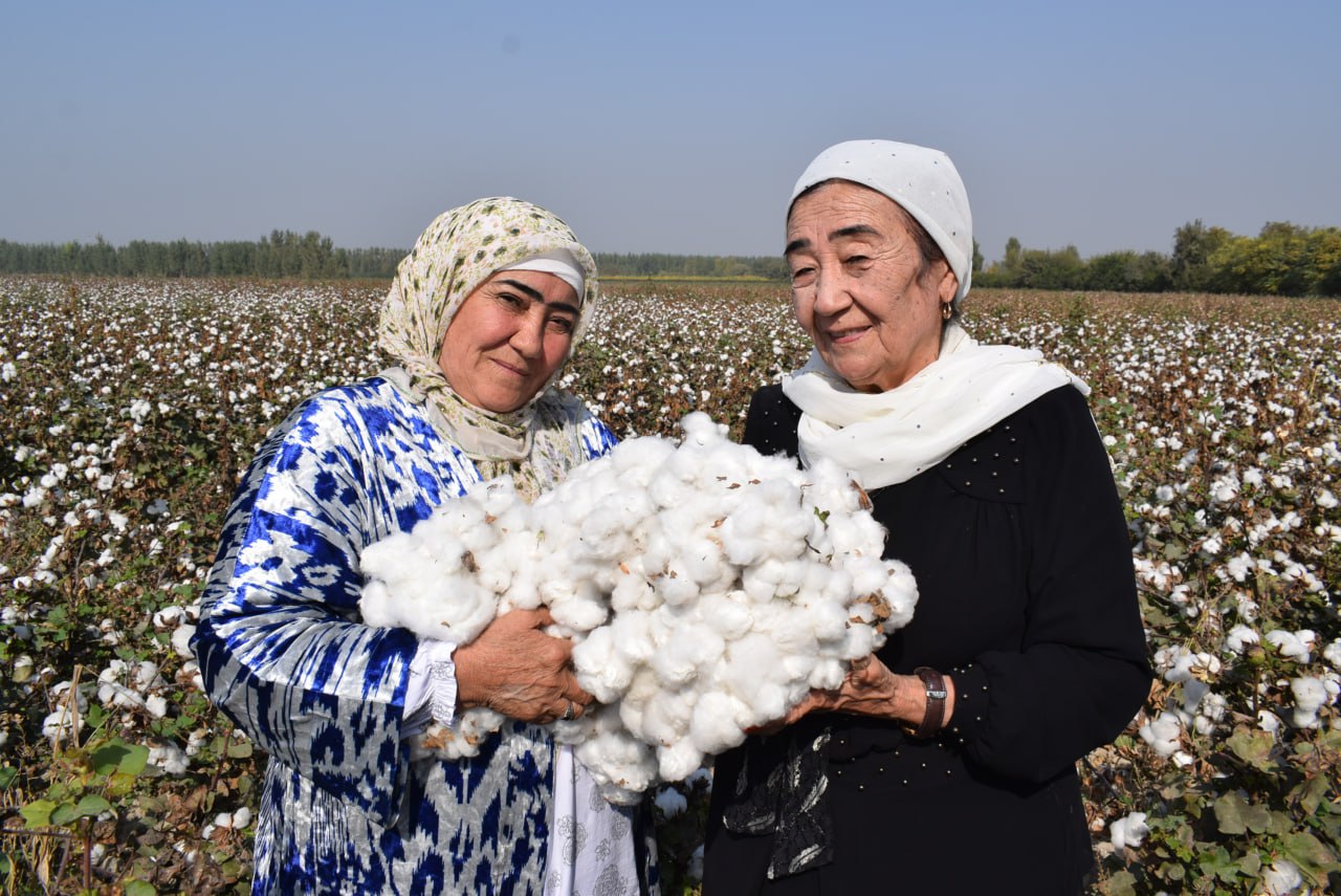 http://api3.fergana.uz/files/150800/news/file-2103852881677500.jpg