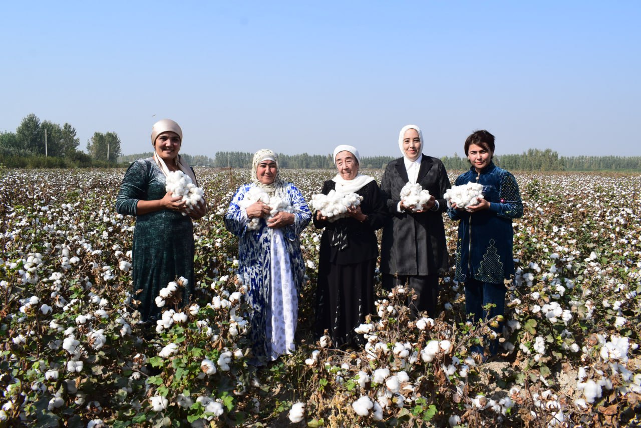 http://api3.fergana.uz/files/150800/news/file-2103852881678695.jpg