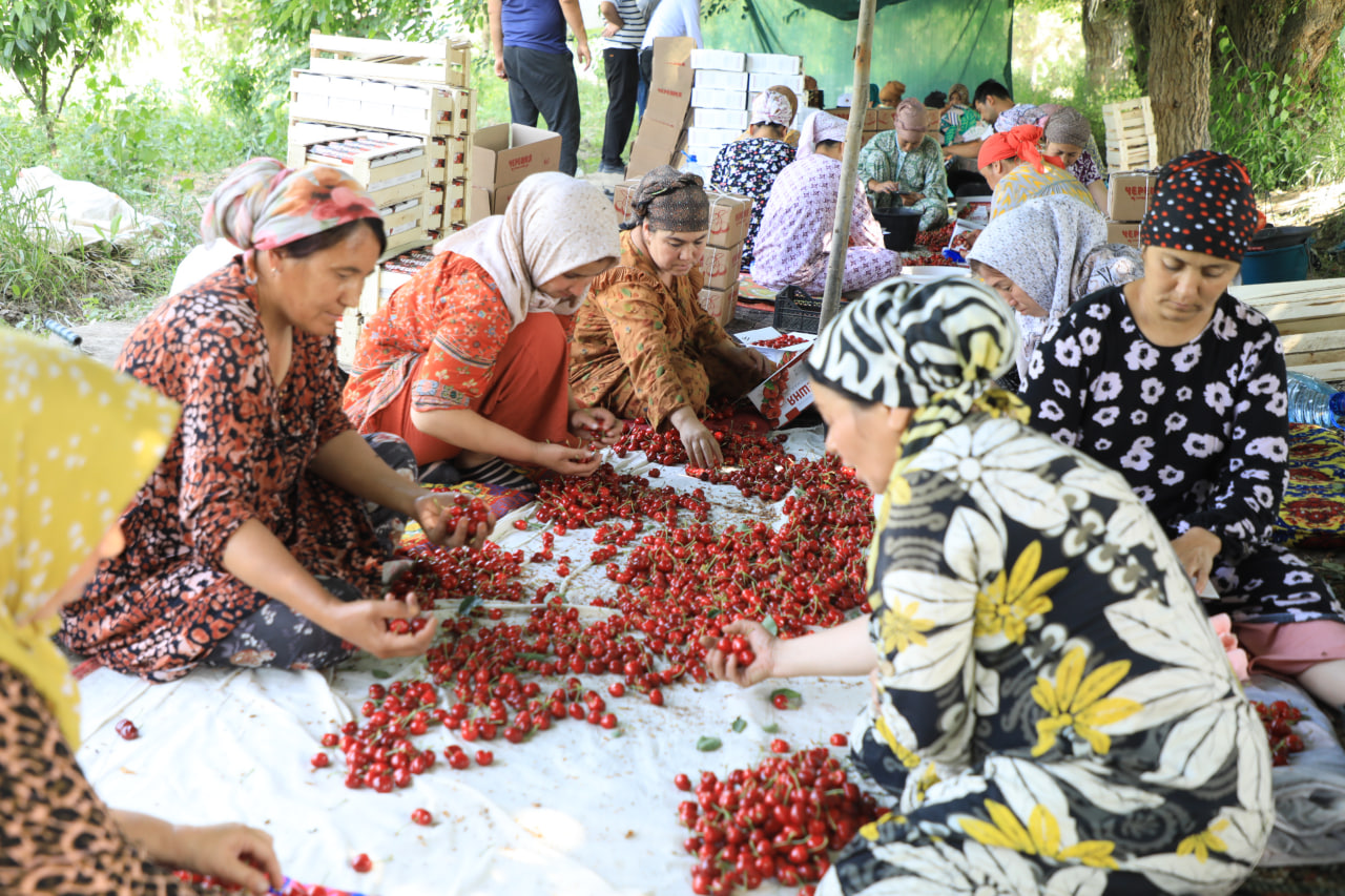 http://api3.fergana.uz/files/150900/news/file-2089396894107540.jpg