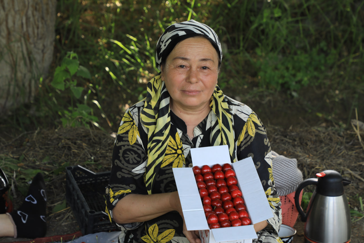 http://api3.fergana.uz/files/150900/news/file-2089396894119490.jpg