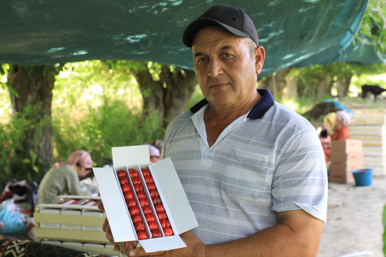 http://api3.fergana.uz/files/150900/news/file-2089396894127855.jpg