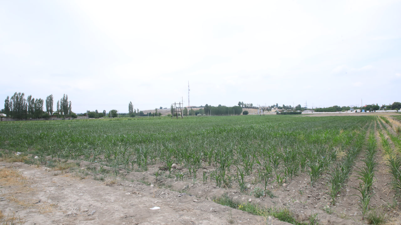 http://api3.fergana.uz/files/150900/news/file-2089397152608745.jpg