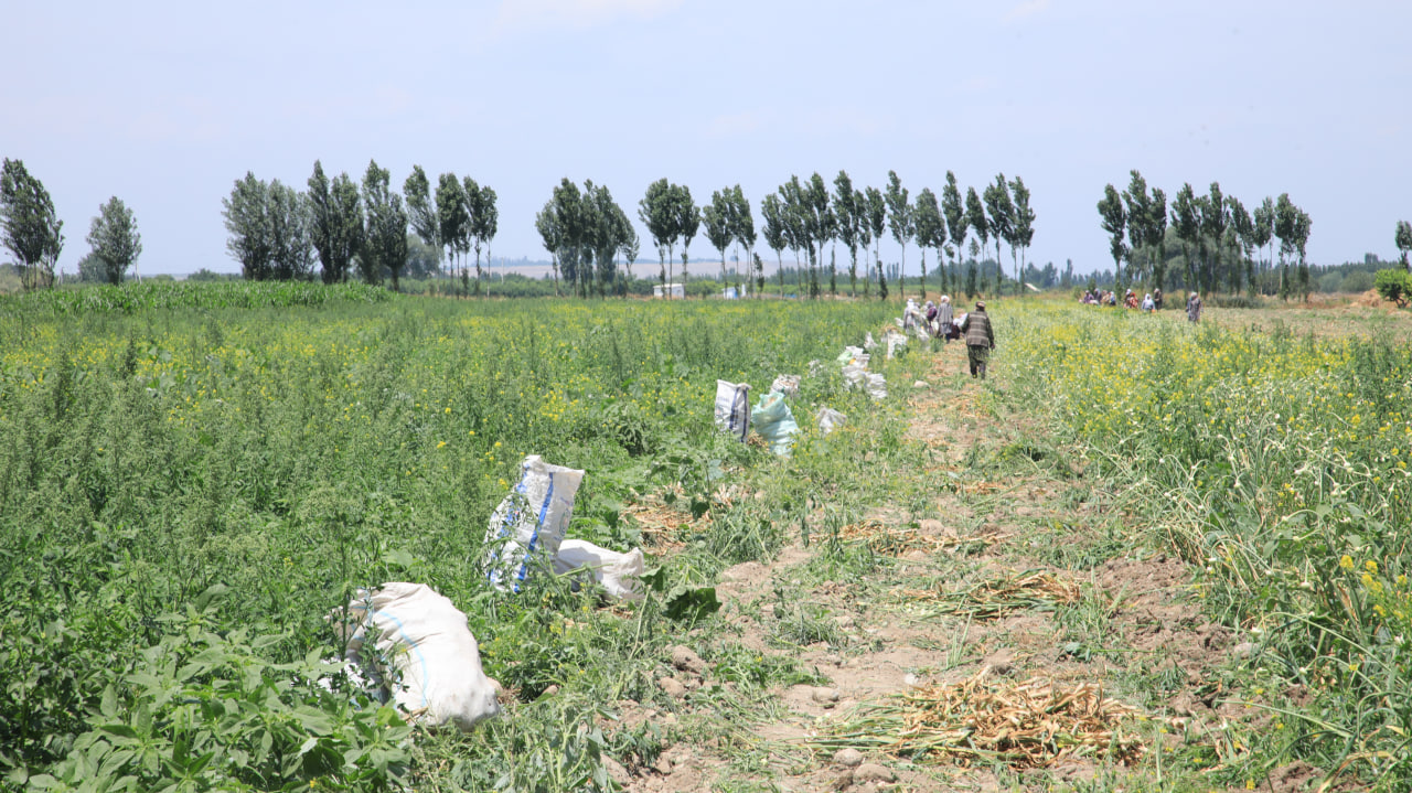 http://api3.fergana.uz/files/150900/news/file-2089397224613470.jpg
