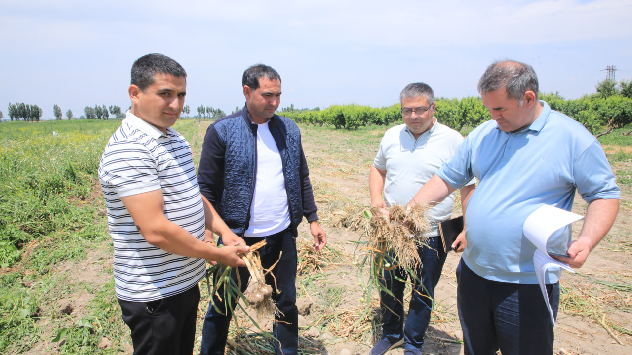 http://api3.fergana.uz/files/150900/news/file-2089397224627810.jpg