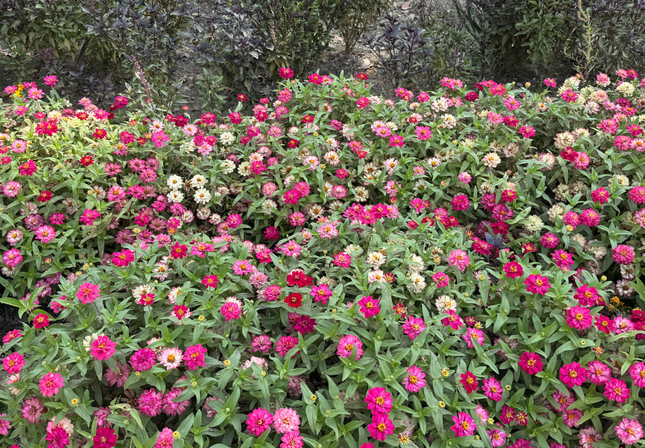 http://api3.fergana.uz/files/150900/news/file-2098257126009930.jpg