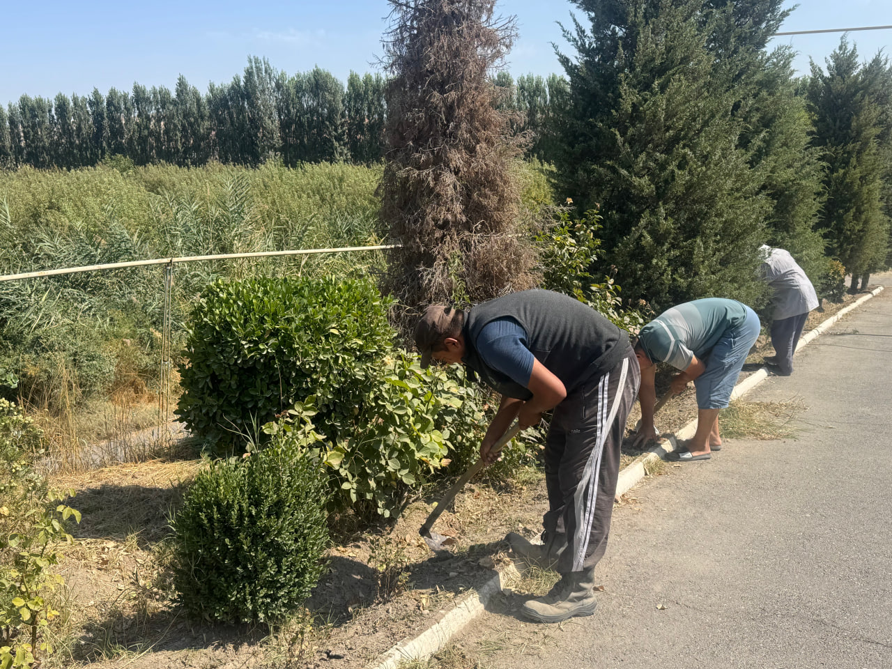 http://api3.fergana.uz/files/150900/news/file-2098257455612440.jpg