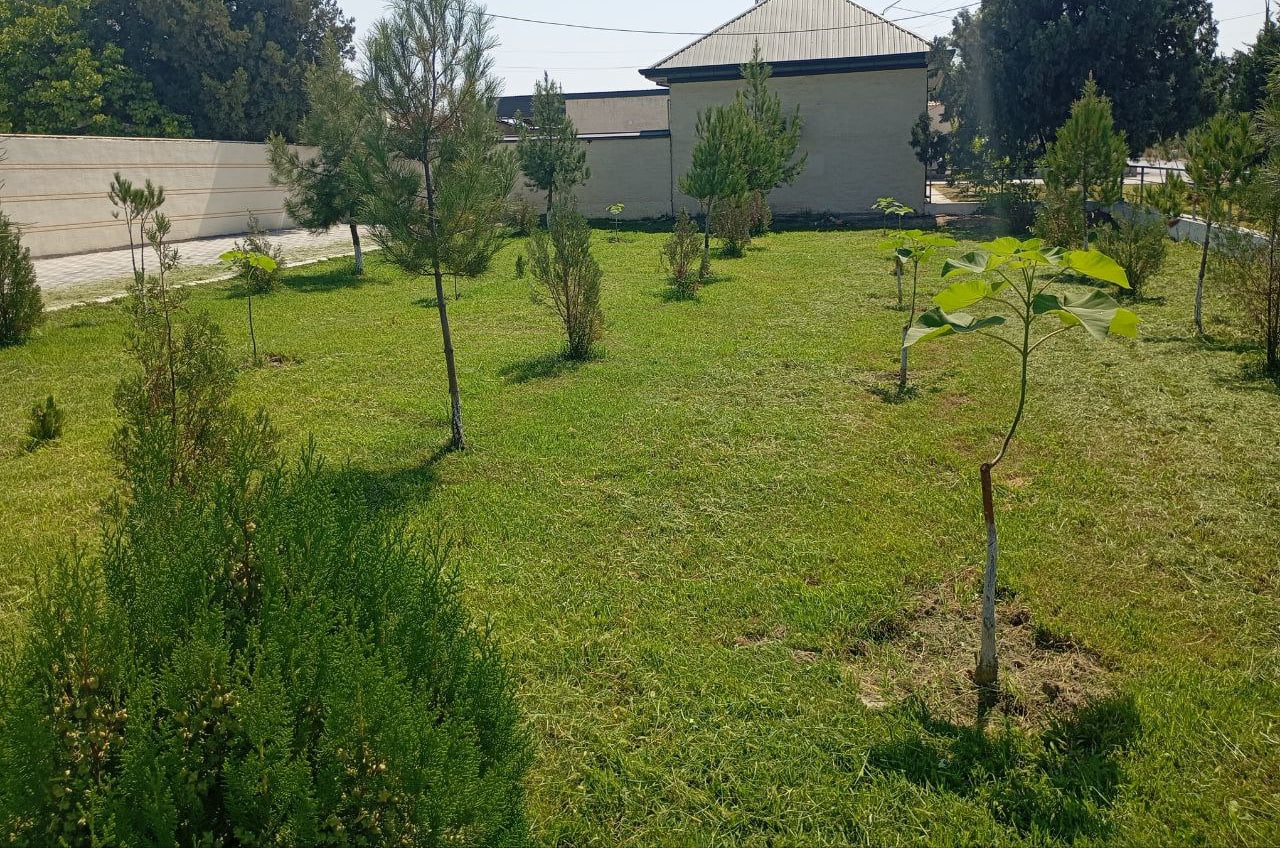 http://api3.fergana.uz/files/150900/news/file-2098257455617220.jpg