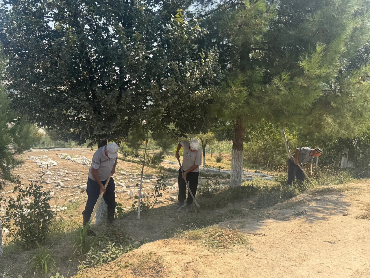 http://api3.fergana.uz/files/150900/news/file-2098257700307810.jpg