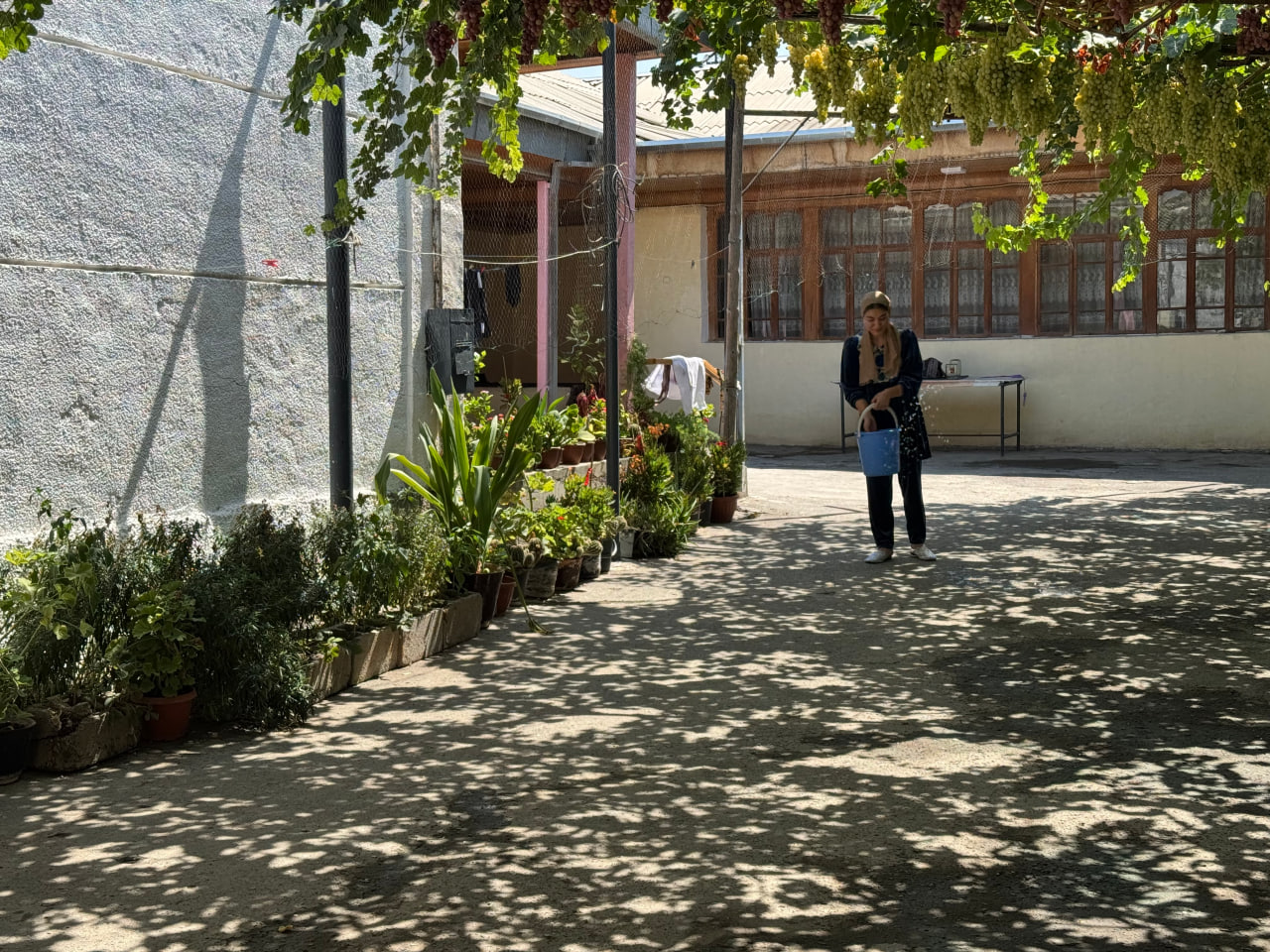 http://api3.fergana.uz/files/150900/news/file-2098257700319760.jpg