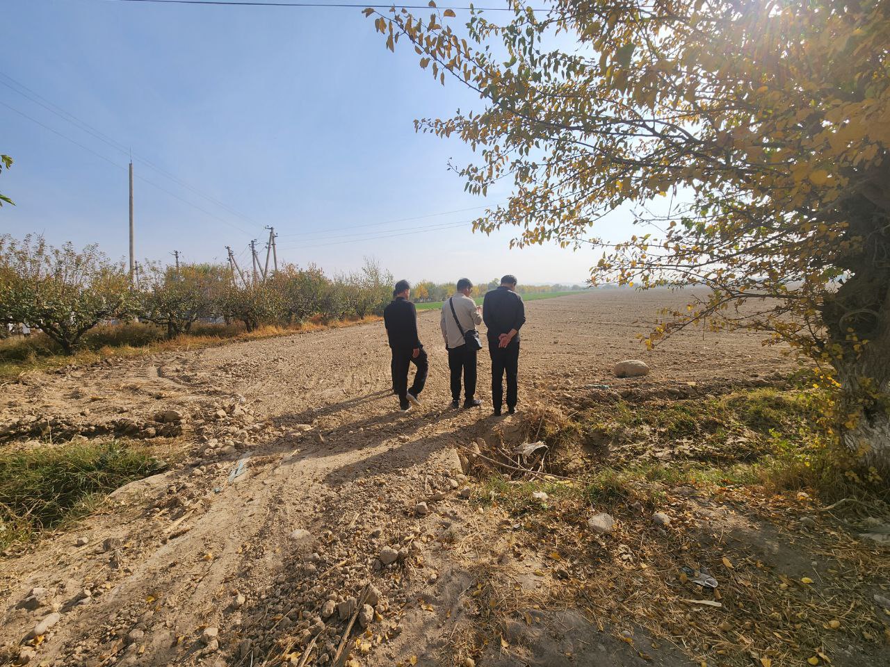 http://api3.fergana.uz/files/150900/news/file-2105064781477440.jpg