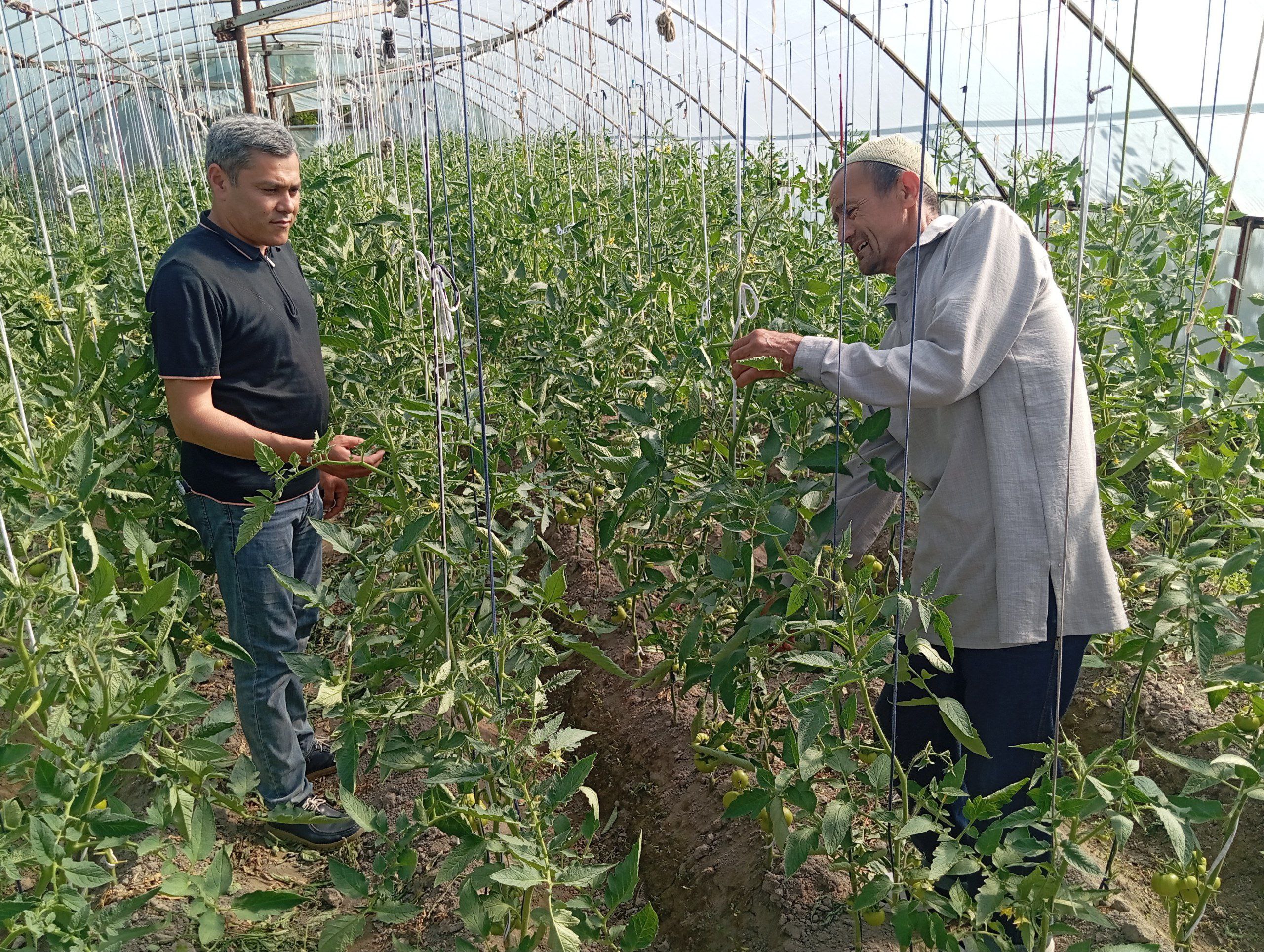 http://api3.fergana.uz/files/151000/news/file-2086969150982565.jpg