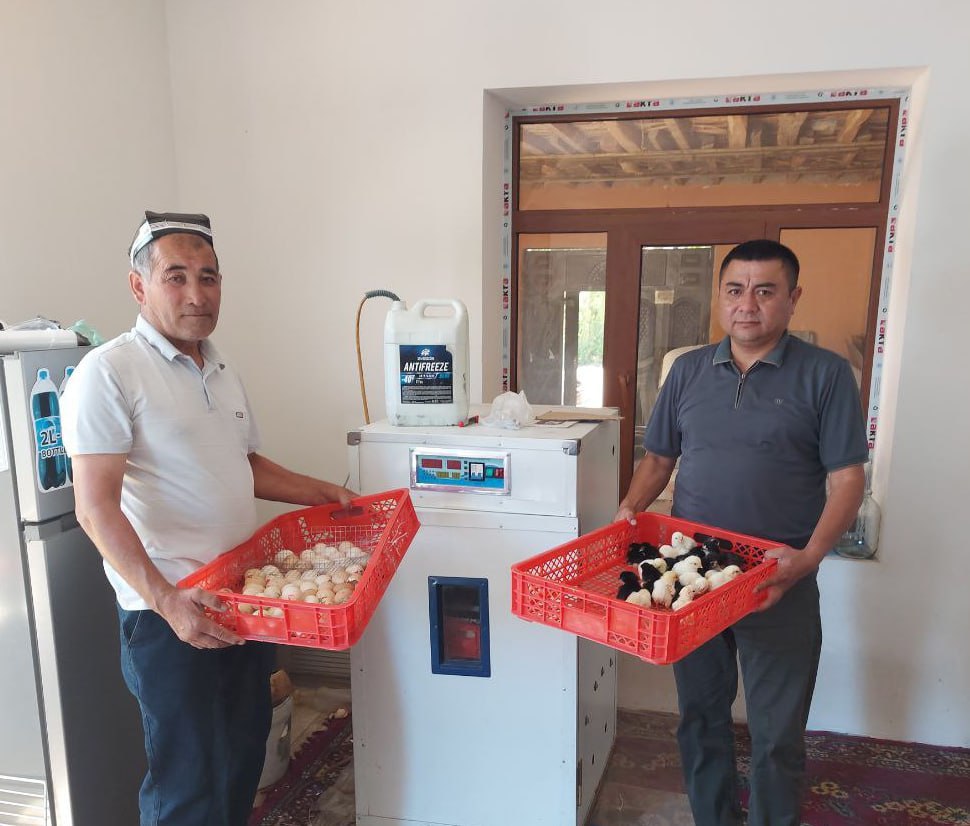 http://api3.fergana.uz/files/151000/news/file-2087897377278930.jpg