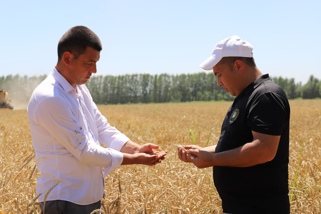 http://api3.fergana.uz/files/151000/news/file-2090101076222060.jpg