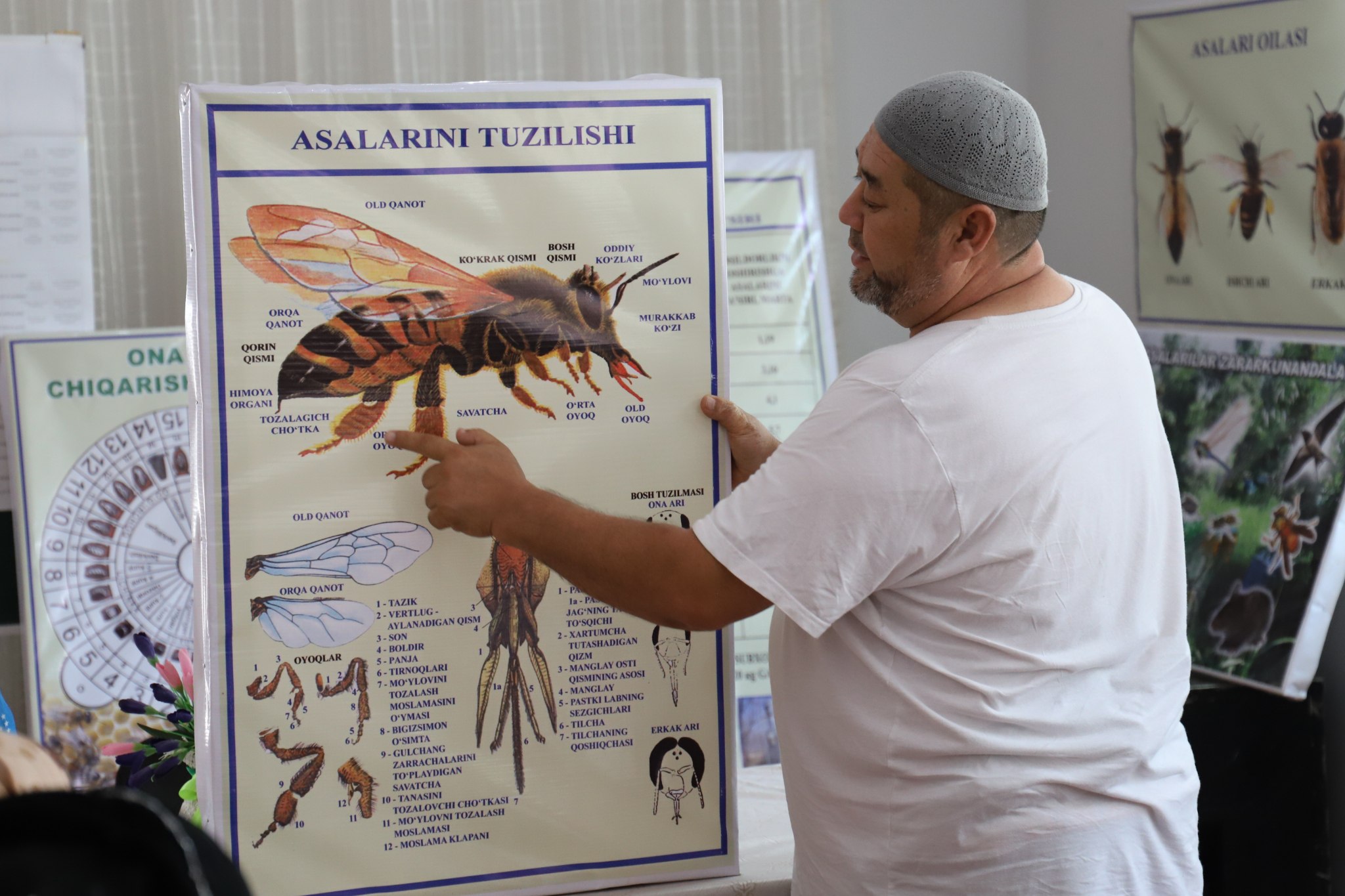 http://api3.fergana.uz/files/151000/news/file-2091637286163800.jpg