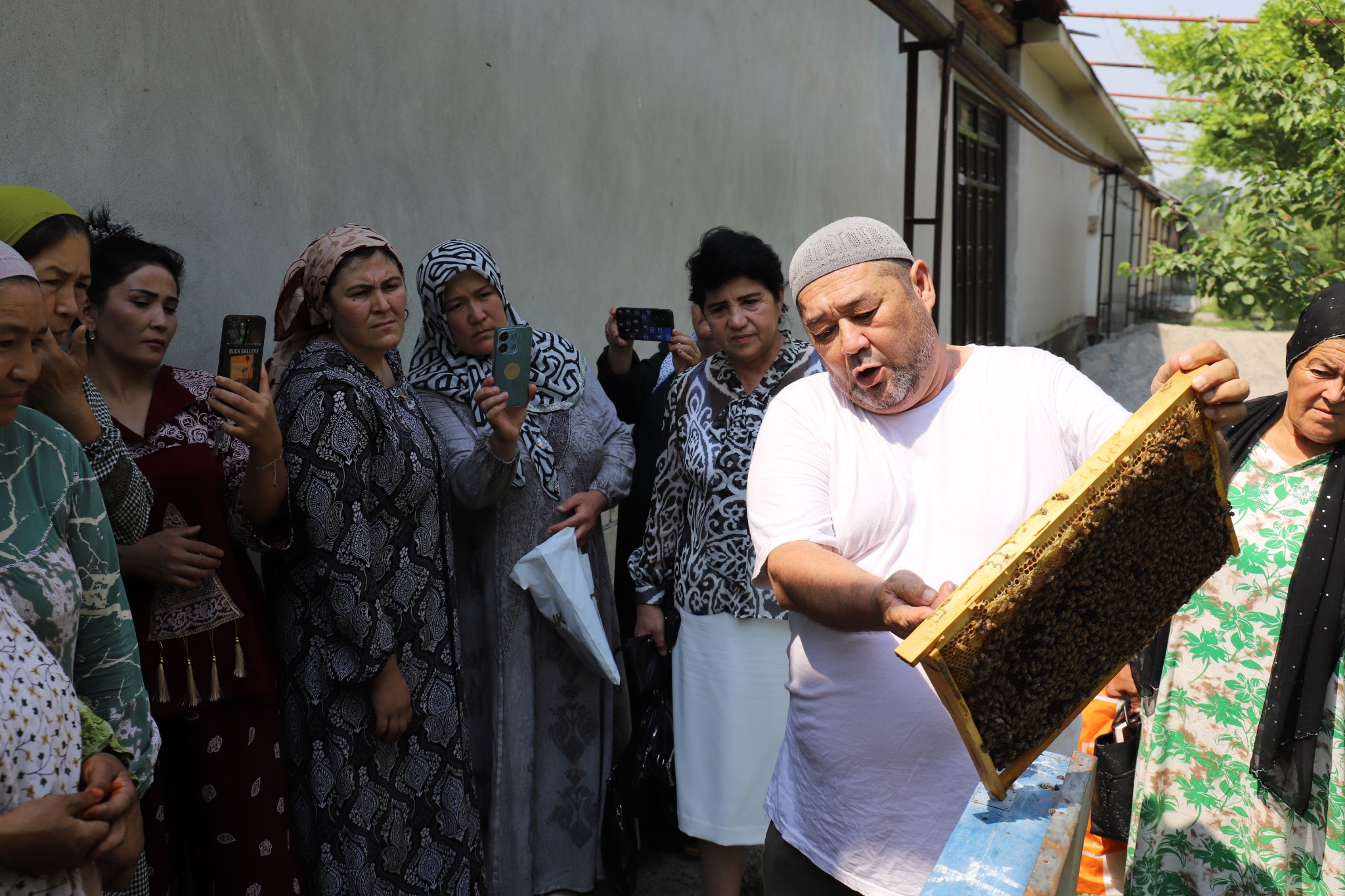 http://api3.fergana.uz/files/151000/news/file-2091637286186505.jpg