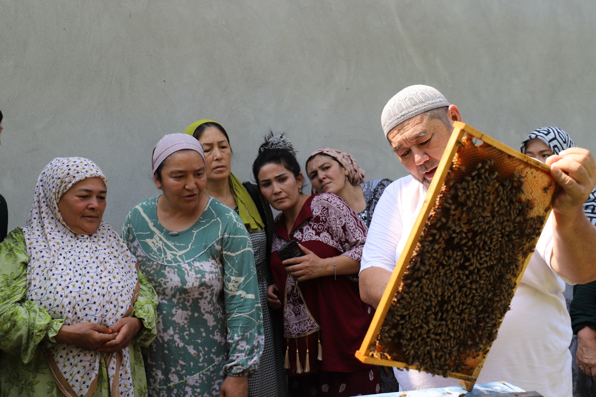 http://api3.fergana.uz/files/151000/news/file-2091637286192480.jpg