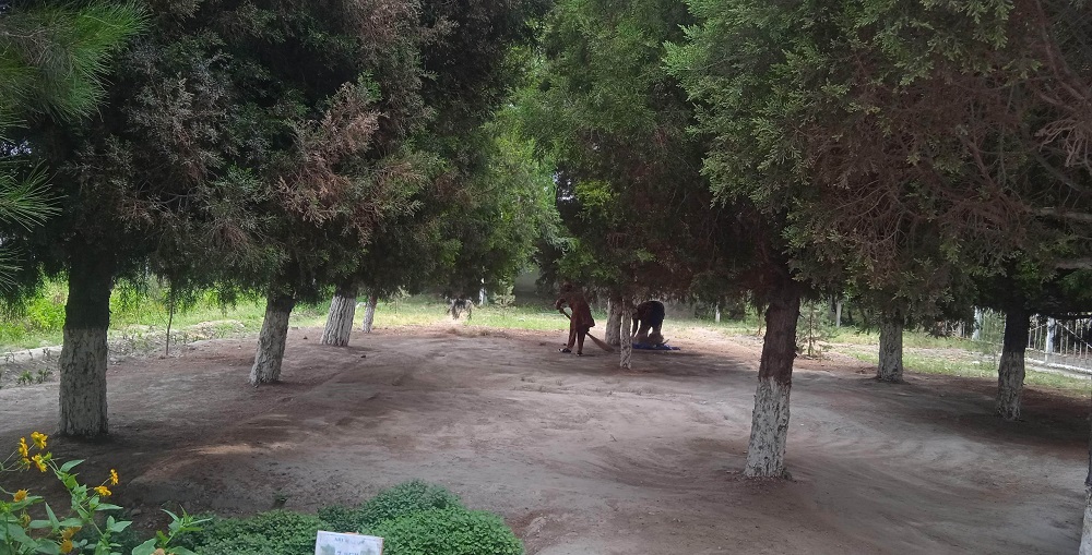 http://api3.fergana.uz/files/151000/news/file-2098330888542885.jpg
