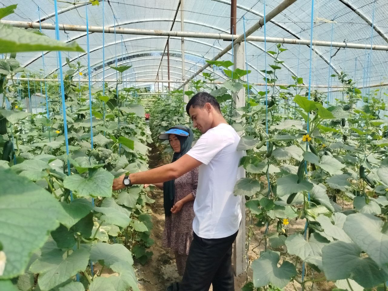 http://api3.fergana.uz/files/151200/news/file-2090093755778730.jpg