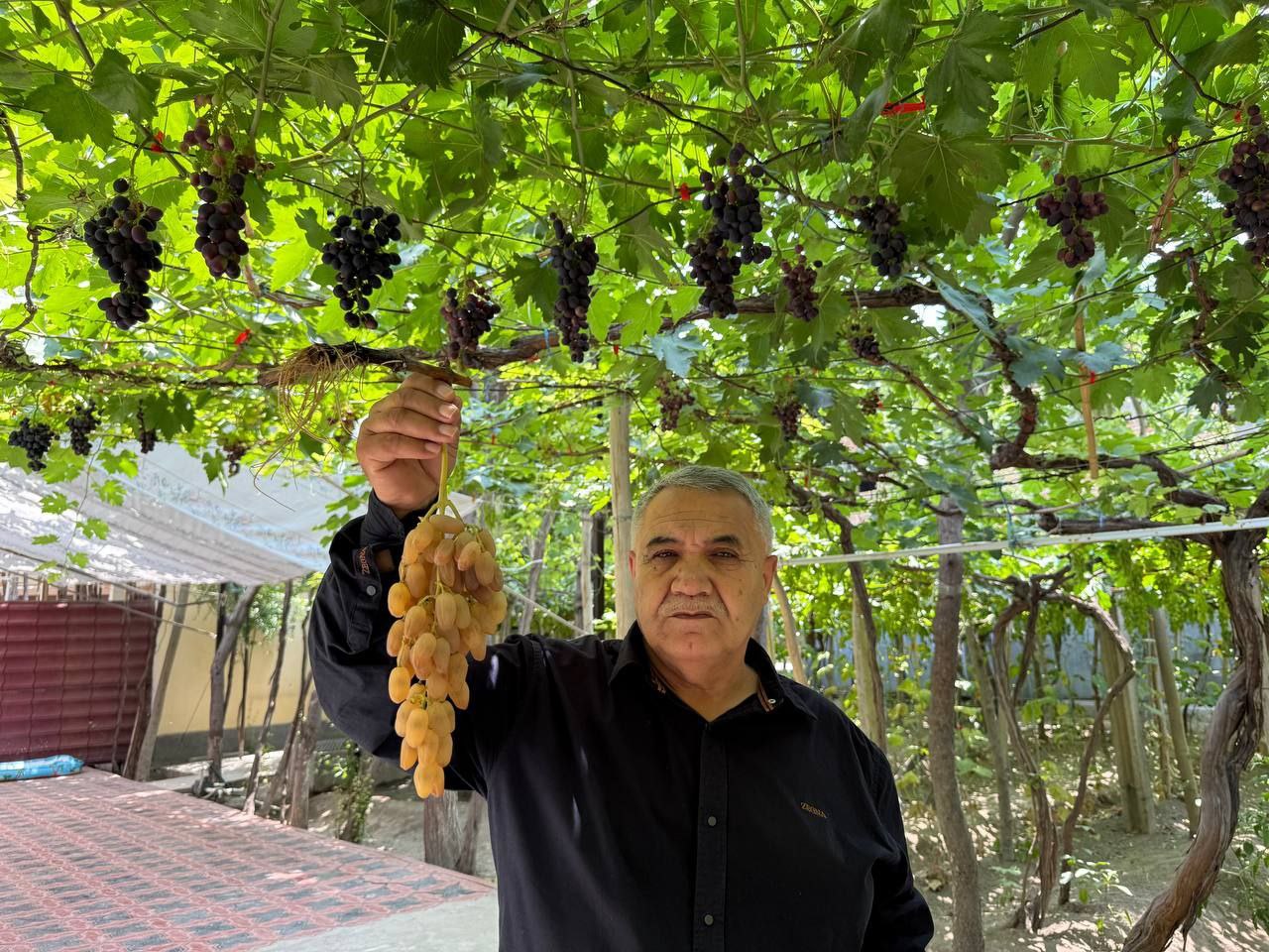 http://api3.fergana.uz/files/151200/news/file-2091308736565910.jpg