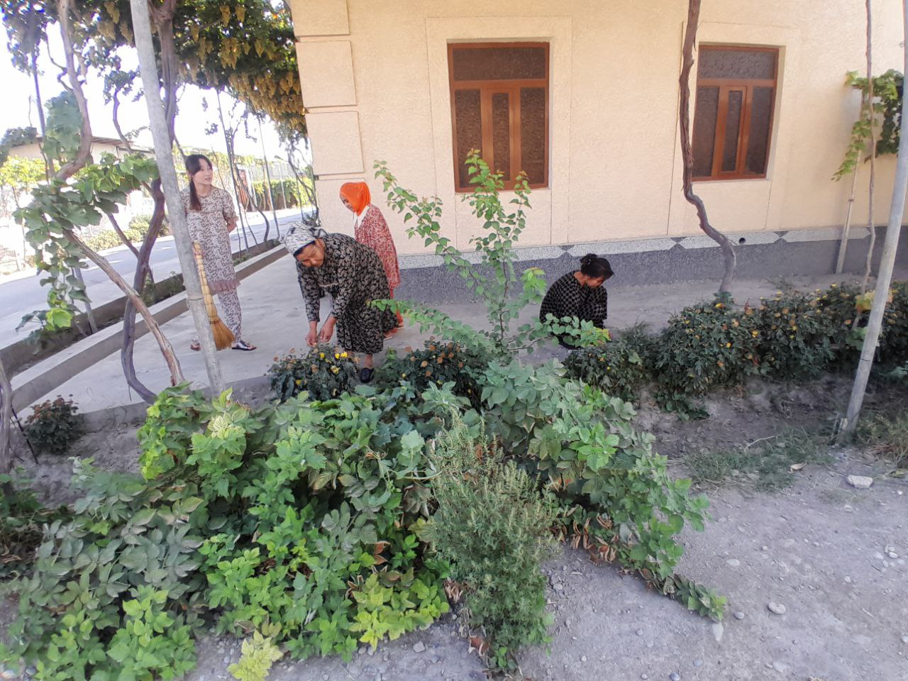 http://api3.fergana.uz/files/151200/news/file-2098360086234810.jpg