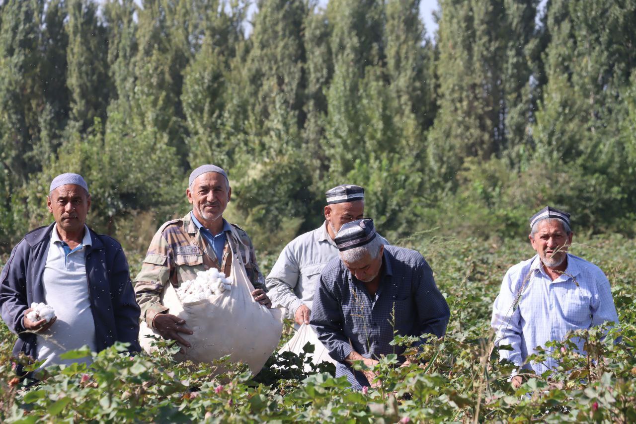 http://api3.fergana.uz/files/151300/news/file-2101664812404660.jpg