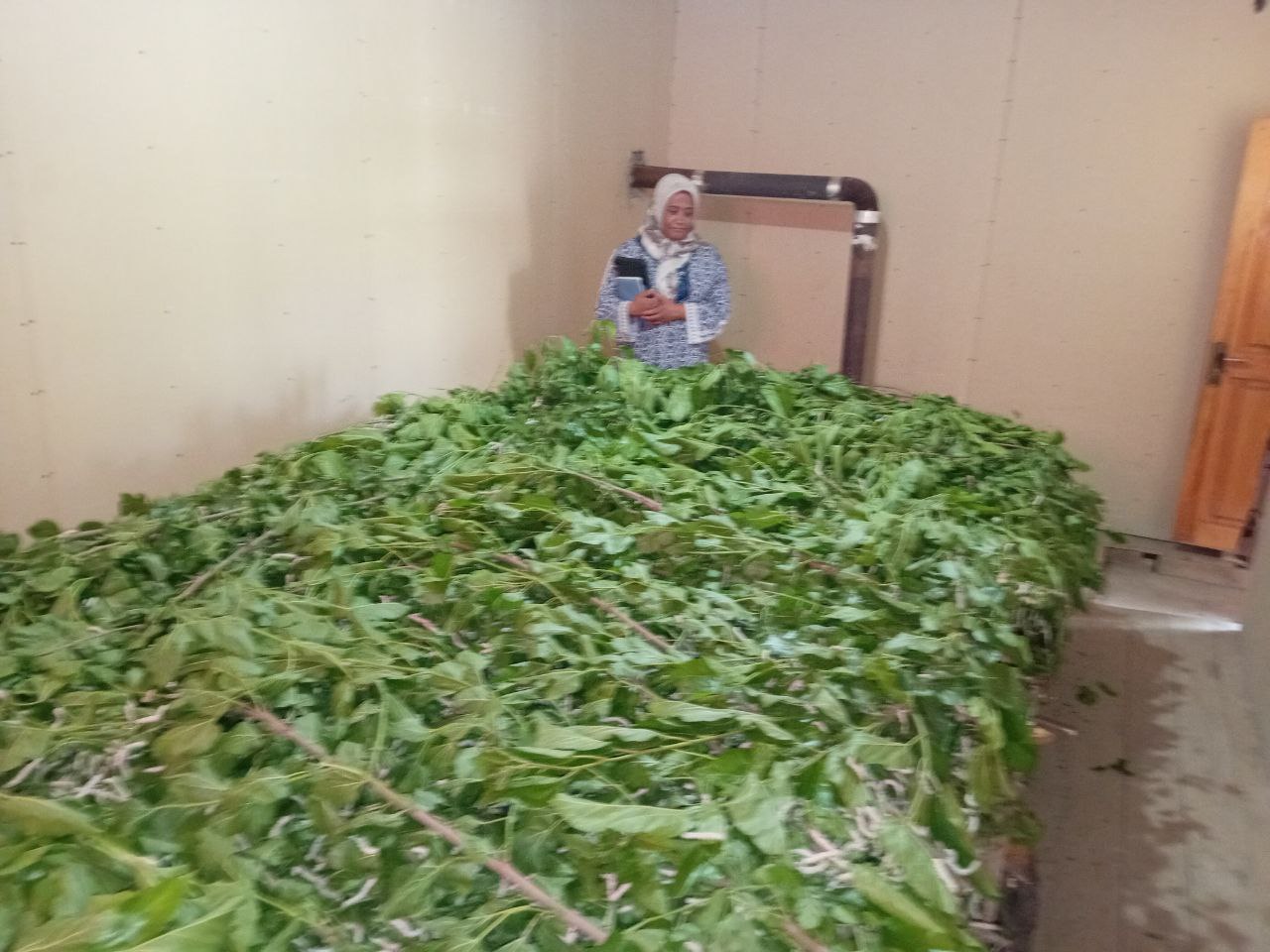 http://api3.fergana.uz/files/151400/news/file-2087998878002510.jpg