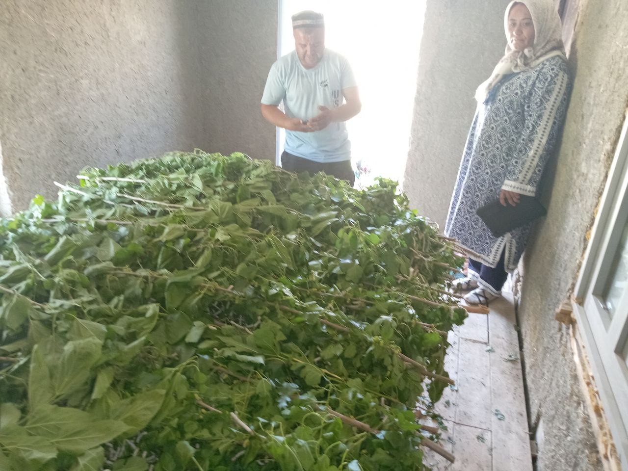 http://api3.fergana.uz/files/151400/news/file-2087998878004900.jpg